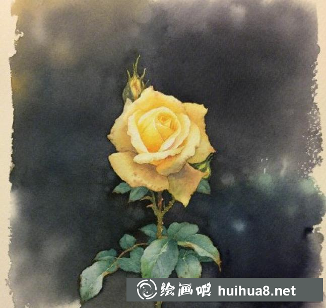月季花水彩畫(huà)4