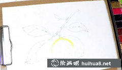 水彩畫(huà)教程清新檸檬畫(huà)法