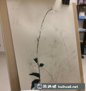 木槿花水粉畫教程分享：畫法步驟解析