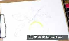 水果檸檬水粉畫(huà)教程步驟詳解