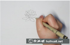 睡蓮簡筆畫繪制步驟