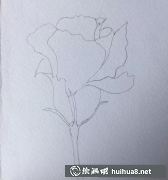 紫藍(lán)無(wú)名花水彩繪教程