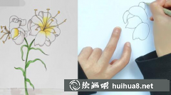 百合花簡筆畫教學(xué)步驟