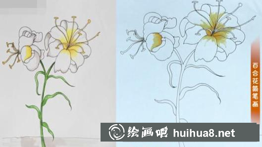 百合花花芯上色步驟