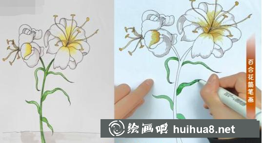 百合花加深顏色步驟
