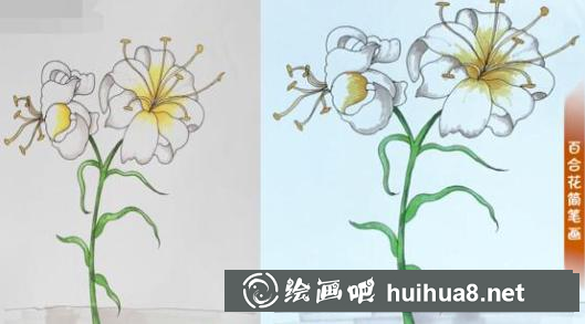 百合花地面上色步驟