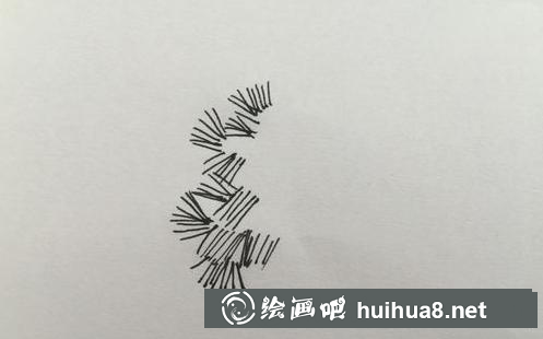 針狀型樹葉
