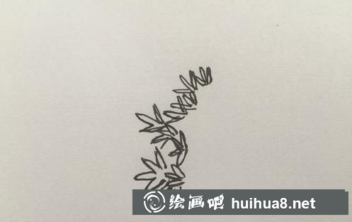 條尖型樹葉