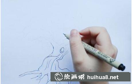 櫻花樹樹根