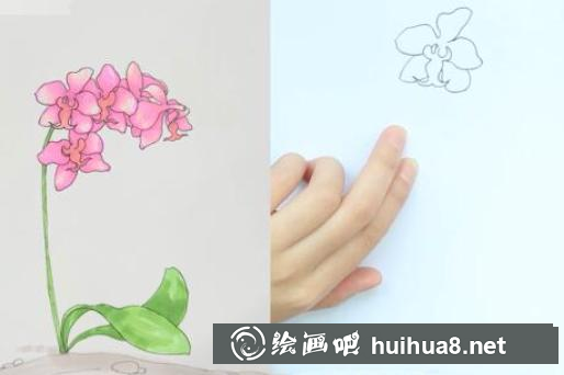 2_副本.png