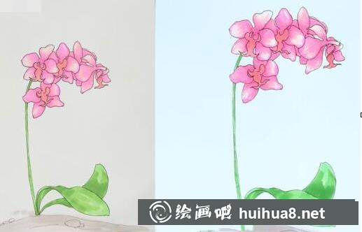 6_副本.png