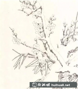 梅花工筆畫教程分享藝術(shù)之美