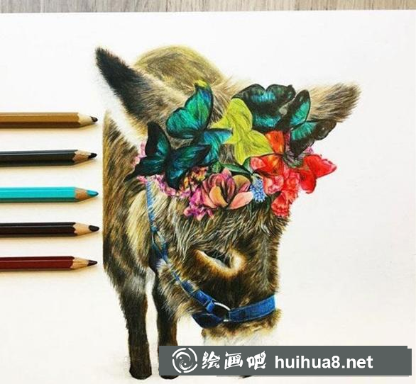 驢彩鉛畫