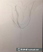 零基礎(chǔ)學(xué)繪百合花水彩