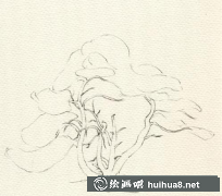鋼筆畫樹木教程分享