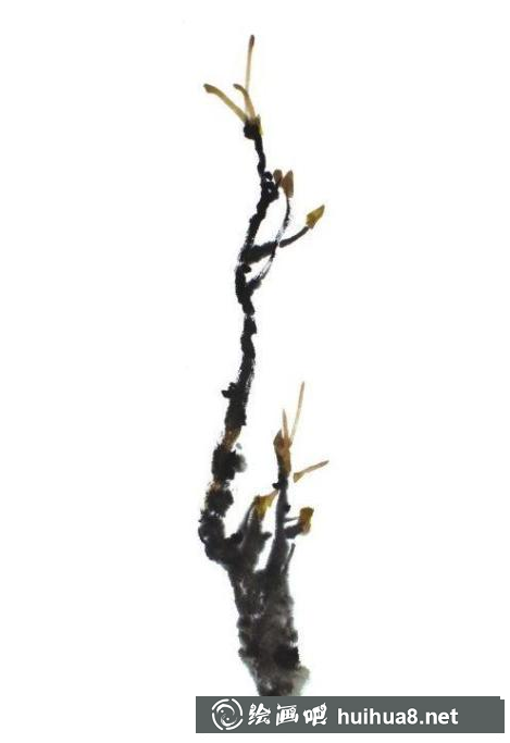 牡丹花枝畫法3