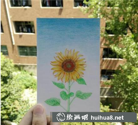 向日葵彩鉛畫