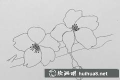 櫻花鋼筆畫教程分享美麗繪法