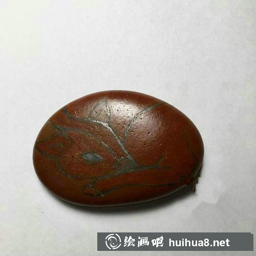 梅花鹿皮膚顏色