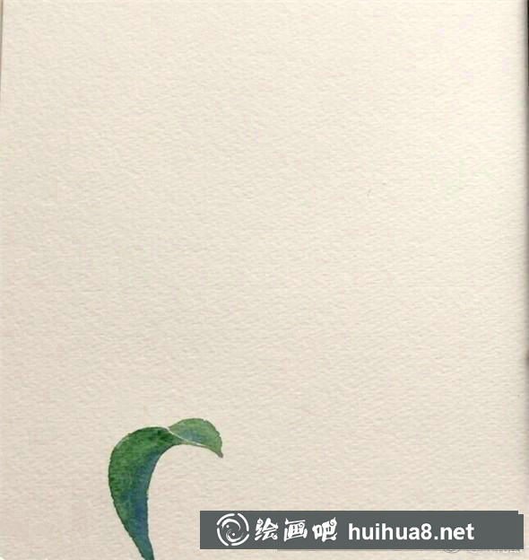 桂花葉子繪制步驟1