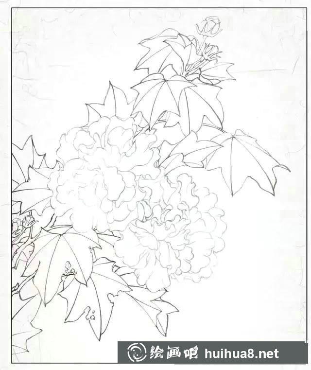 平涂花瓣