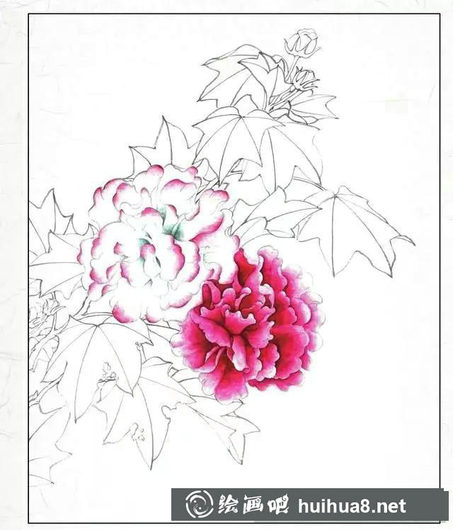分染花瓣