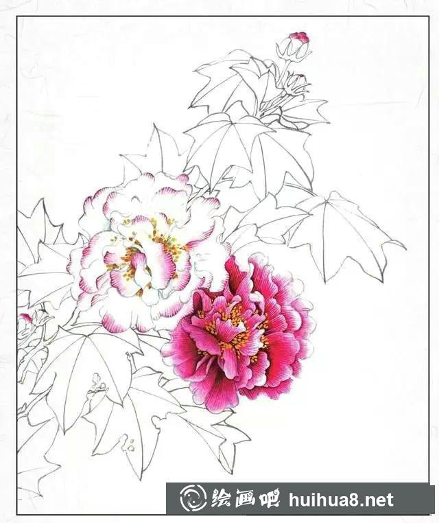 繪制花蕊