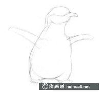 素描企鵝繪制步驟教程