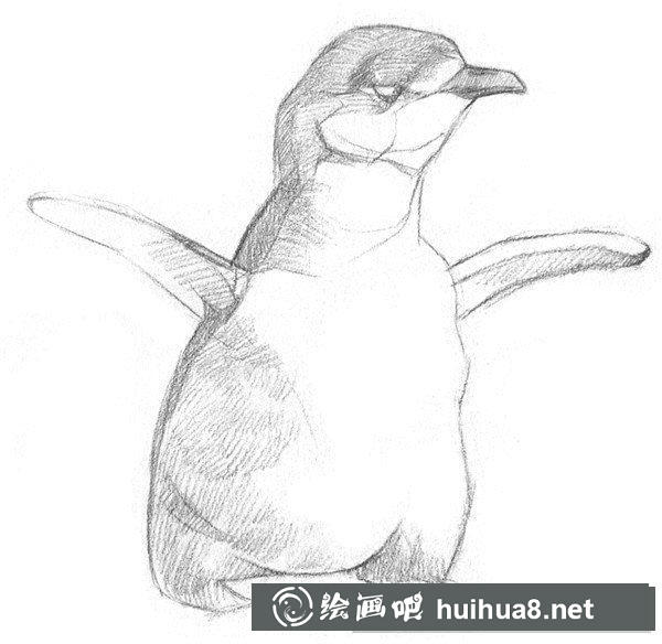 企鵝明暗關系