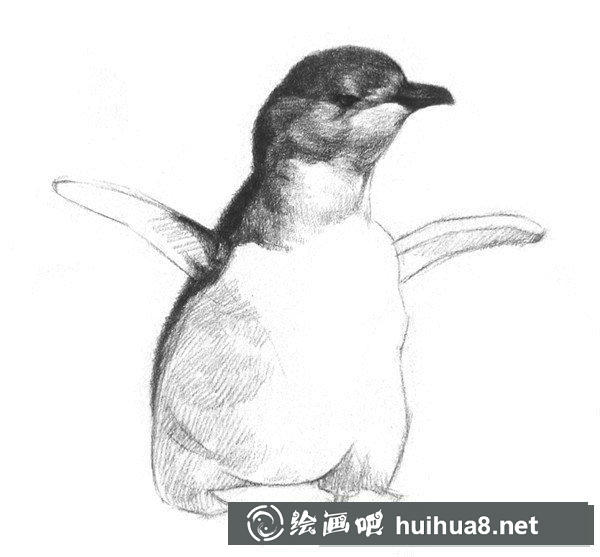 企鵝臉部