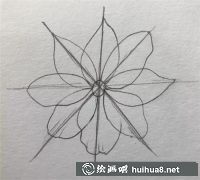 透明花用水彩繪教程零基礎(chǔ)學(xué)水彩
