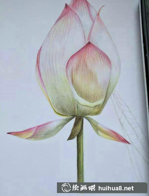 彩鉛畫(huà)教程