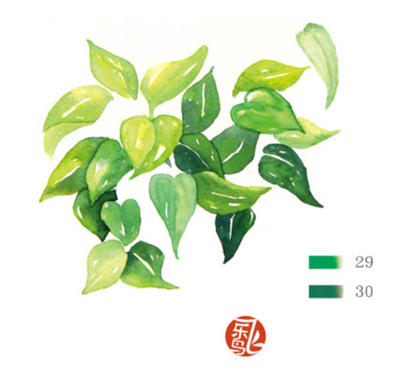 水彩透明玻璃和綠葉植物的畫法
