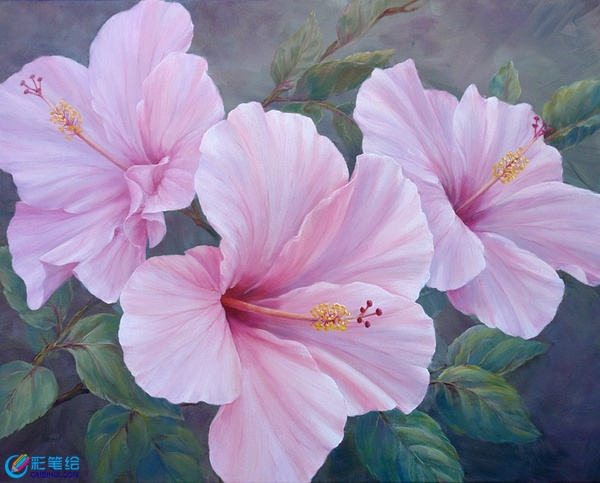 水彩花卉作品