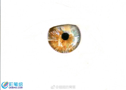 手繪彩鉛畫眼睛