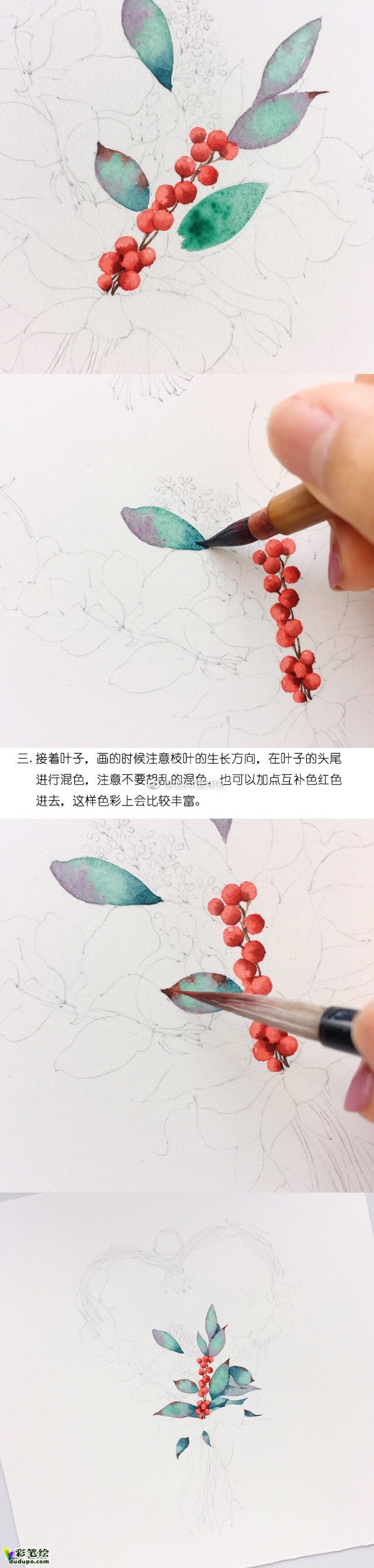 水彩畫花環(huán)