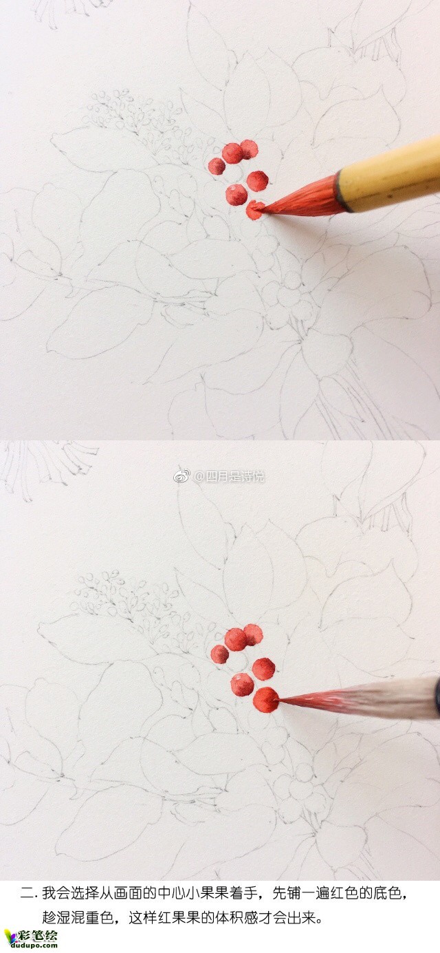 水彩畫花環(huán)