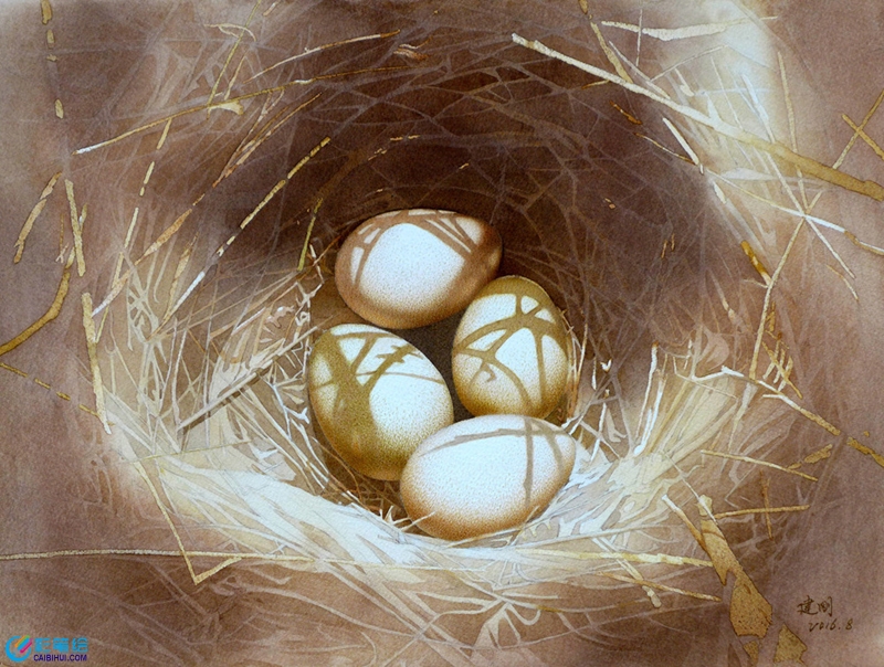 水彩畫鳥窩