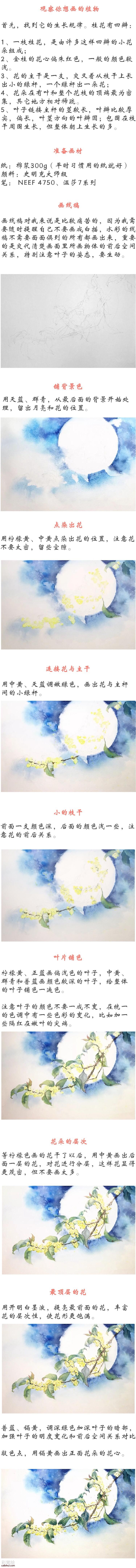 月下桂花