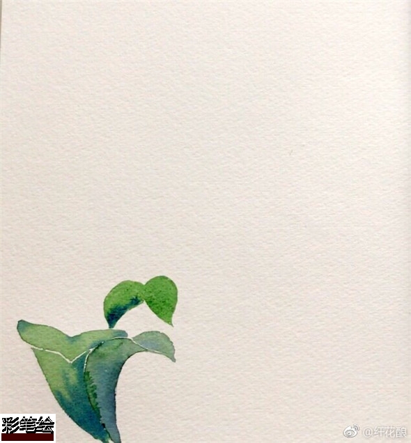 水彩畫怎么畫桂花?簡單的桂花水彩畫教程