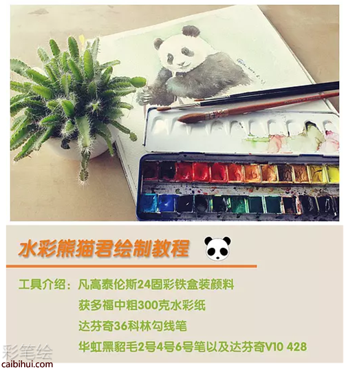 水彩畫動物：大熊貓水彩畫教程