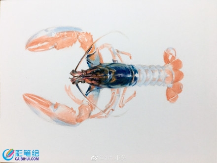 超寫實(shí)大龍蝦彩鉛畫教程