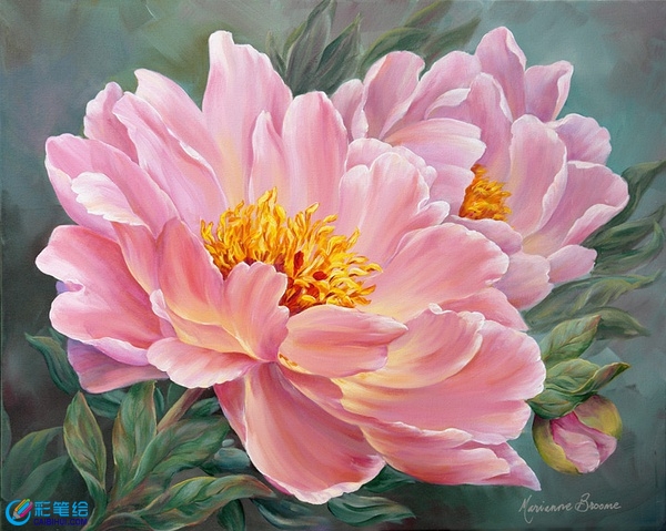 水彩花卉作品