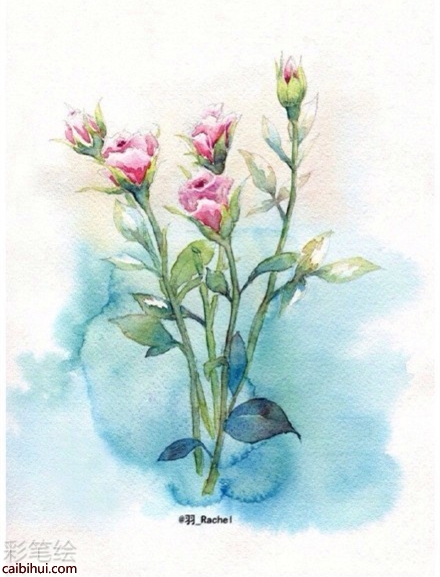 水彩畫(huà)多頭玫瑰的畫(huà)法