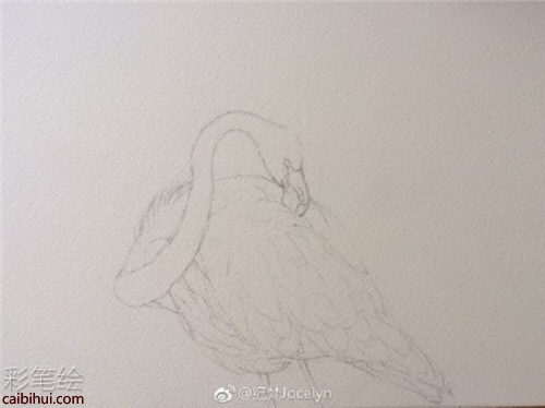 簡單易學(xué)的水彩畫火烈鳥教程