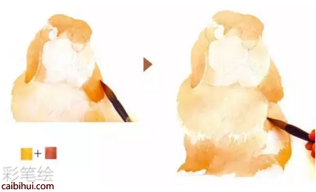 彩鉛畫貓咪步驟教程