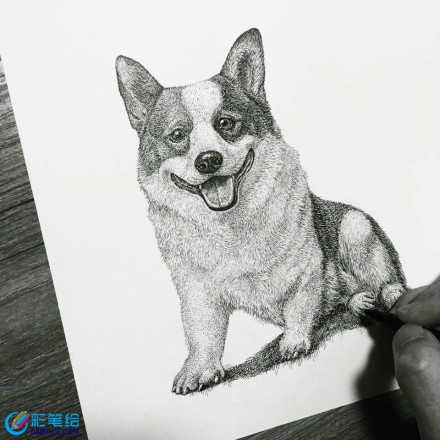 針管筆畫動物 針管筆畫動物