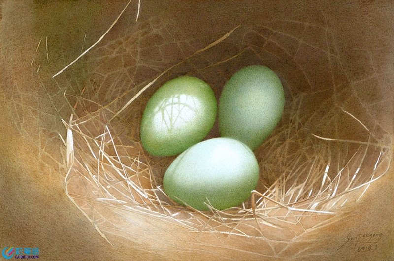 水彩畫鳥窩