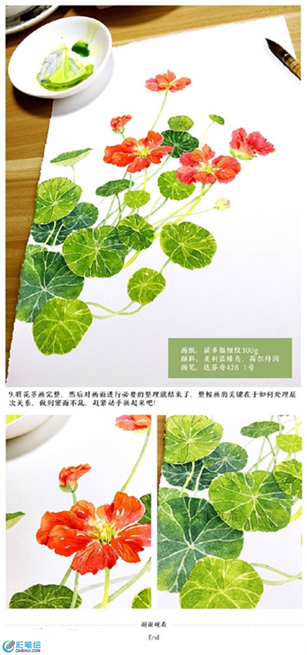 水彩畫旱金蓮