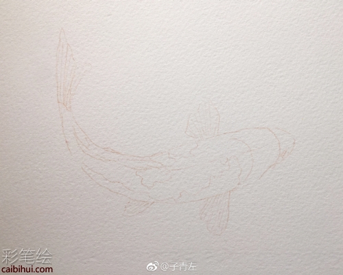 水彩畫錦鯉的畫法